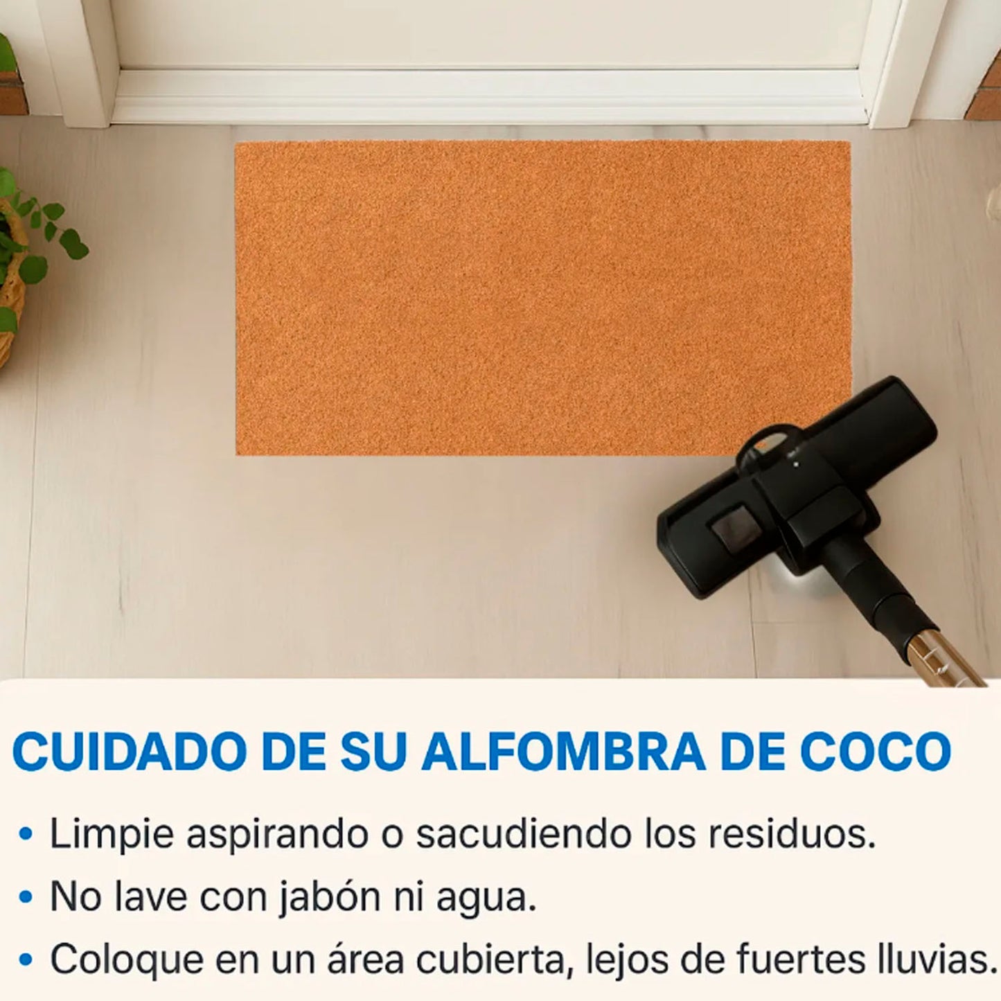 Hola poh cocos secos 1